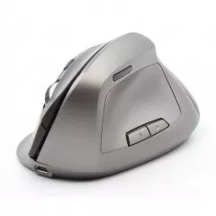 souris 2