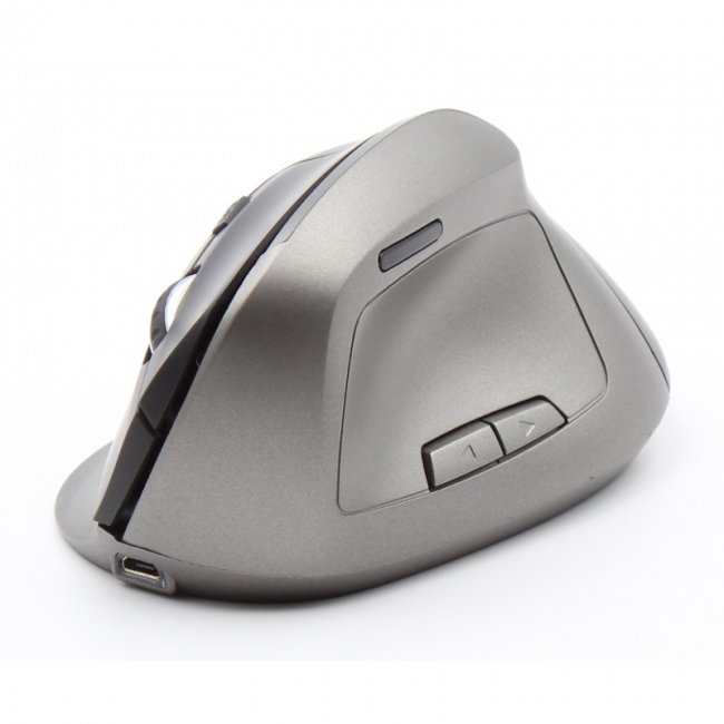 souris 2