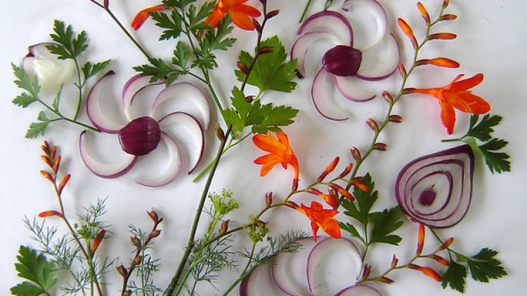 Vous pouvez lire mon livre les bienfaits des plantes aromatiques sur le site édition 999,lecture gratuite pour les lecteurs (rechercher le thème avant première), me laisser des messages sur le site édition 999 et voter avec le nombre d'étoiles qui vous convient, laisser moi aussi des commentaires sur le site ordissimo, merci.
JESSICA.