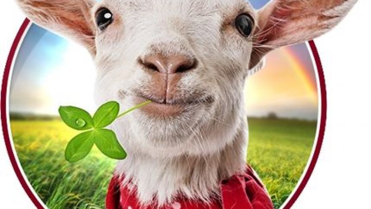 Récit de pure fiction, toute ressemblance avec qui que ce soit ne peut être que fortuite.