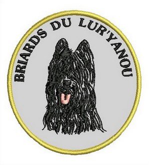Un amour de chien, un cœur avec du poils autour
fidèle compagnon le BRIARDS, un chien a connaître pour toutes ses qualités.