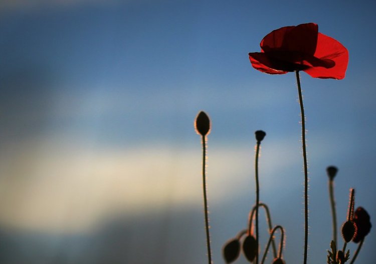 "Croire en ce que l'on fait,
Et faire ce que l'on croit !"
Un beau programme non...