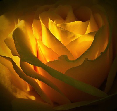 En ce premier jour officiel du "Printemps des Poètes" des podcasts pour "Poèm' À Nans" sur arteRADIO...