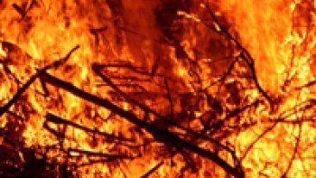 Et si fin avril-début mai vous alliez en Suède ? Le printemps bien engagé, le climat y devient moins rude.
