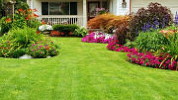 Grâce à l’installation d’un composteur, transformez vos déchets organiques en un fertilisant d’excellente qualité pour votre jardin.
Comment ça marche ?
Placé au fond du jardin, le composteur est un silo de taille variable dans lequel s’entreposent les résidus du potager, de la tonte, ou de la cuisine.
Ecologique et économique, il accueille les épluchures, le marc de café, les serviettes en papier, ou le gazon tondu, entre autres. Puis, après décomposition, le contenu du composteur devient un riche engrais naturel à réutiliser dans le jardin.
