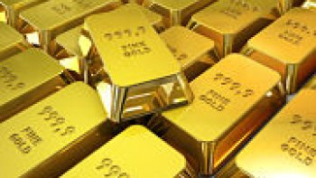 Le cours de l'or est aujourd'hui de 1662 dollars (11 octobre à minuit). Certes, il a connu une baisse significative ces dernières semaines, mais c'est qu'il avait  atteint un niveau inconnu jusqu'alors : l'once valait le 6 septembre 2011 pas moins de 1921 dollars ! 
Alors faut-il acheter ou, pour ceux qui ont la chance d'en posséder, faut-il vendre ? 
Pour certains experts, le cours devrait continuer à monter, franchissant allègrement la barre des 2000 dollars...
Quoi qu'il en soit, la flambée du métal jaune s'accompagne de phénomènes parfois étonnants. Avec fracas, une criminalité spécialisée dans les vols d'objet en or dans les bijouteries a fait son apparition. Dans un tout autre registre, on voit la multiplication d'offres vous proposant d'estimer et d'acheter vos objets en or, le tout par simple courrier...
Plus originale, la Société CPoR, l'un des acteurs spécialisés dans l'or auprès des banques, à lancé des lingotins, moins lourds et donc moins chers que les lingots. Ce afin de démocratiser encore plus l'or et son accès au grand public. Cette société n'est pas en manque d'inspiration : elle compte bientôt proposer des lingots signés par le créateur de mode Jean-Paul Gauthier !
