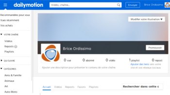 vignette presentation dailymotion