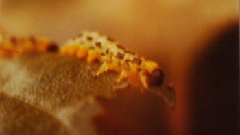 Notre ordissinaute "Astrid et Janphy" publient régulièrement des photos avec une touche très personnelle. Nous les adorons, et vous ?