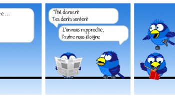 Une musique de Joël Hannier et des oiseaux coquins