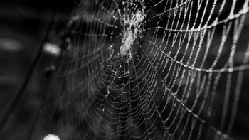 "J'ai la mémoire qui flanche ..."