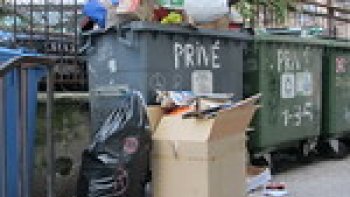 Devant un immeuble, au petit jour, deux poubelles attendent .....