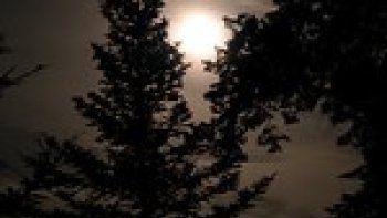 Pour nous réchauffer par ce temps triste et froid.....