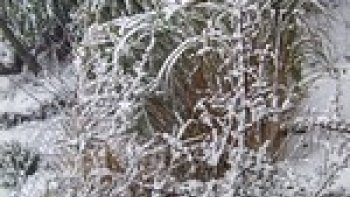 Ce poème m'a été inspiré par une amie venant de perdre son mari après 35 année de vie commune.