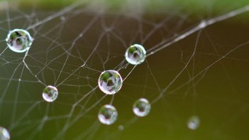Ce poème est de mon père, amoureux des mots et des belles lettres.
