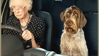 Toi Mémé tu conduis. 
Tu fais gaffe à la route !
Moi je te lis les histoires de Joël.
Ça va te faire du bien !
T'as pas l'moral en ce moment .
Allez ! Roule ...
