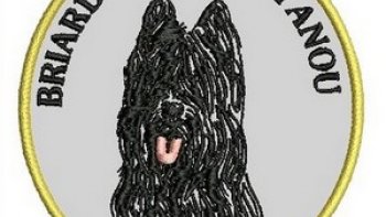 Un amour de chien, un cœur avec du poils autour
fidèle compagnon le BRIARDS, un chien a connaître pour toutes ses qualités.