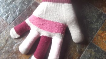  Des Amis de toutes les Couleurs. 