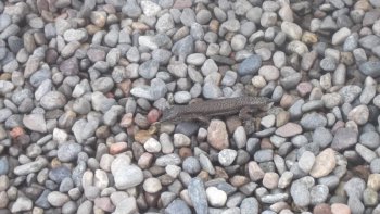 Notre ordissinaute Miss Moit nous rappelle à quel point il est important de réfléchir à deux fois avant de gâcher l'instant présent.