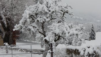 JOYEUX NOEL À TOUS , d'un petit village de chartreuse
 
