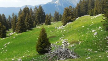 Le printemps est enfin arrivé !!!