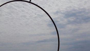 conseils pour l'année
