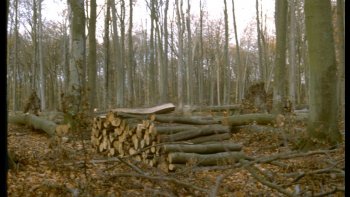 les photos que je vous propose sont les photos de mon mari qui a fait énormément de diapositives qui pour sortir 1 à 3 photos sur une pellicule de 36 vues.