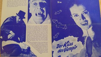 LORSQU'UN VOYAGE DE NOCE SE TRANSFORME EN UN VERITABLE CAUCHEMARD....