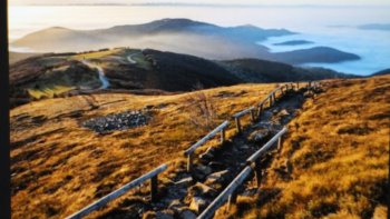 "La couleur verte domine' de collines' vallées' forêts pittoresques' immenses de
nombreux châteaux' de grès rose' et de nombreux cours d'eau....