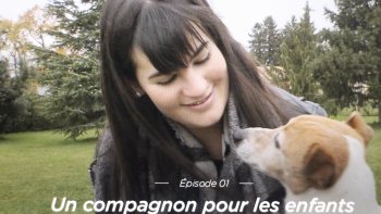 Un instant de paix et " d'ivresse" légère en leur compagnie....