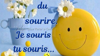 {...} Le tout copieusement saupoudré d'humour' qui nous arrache un sourire...