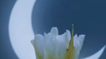 Inspiré de la vidéo de Lorca:
https://youtu.be/ZU6jg2JEQRU?si=8AX0uhwGvAuxWRHz