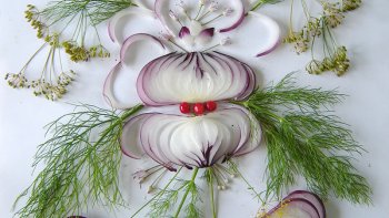 2 petites recettes simple, pour le soir. Jessica