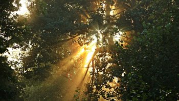 Je vous partage ce beau texte de Mère Teresa .....