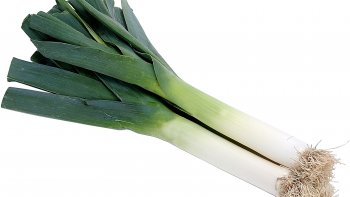 Une mésaventure domestique très parfumée !