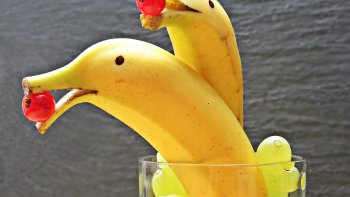 Vous avez des photos de Famille ? 
Amusez-vous à les commenter,
Ça amusera vos Amis,
Ou, ils ne seront plus vos Amis ?