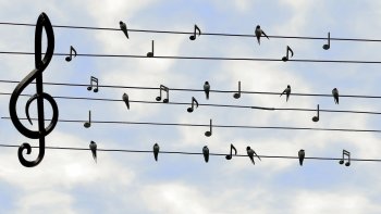 Tout simplement ... Rêvez au son de ma musique ...
Un promeneur croise une violoniste, il l'écoute et se met 
à siffler la mélodie...
Ce fut mon inspiration... Profitez de celle-ci, avec : « Le siffleur et le violon »
Une de dernières créations. Bonne audition !