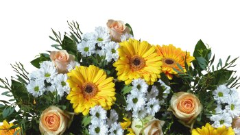 Grâce à mes indices, retrouvez la fleur à laquelle je fais allusion.
Ce jeu est très simple, recevez ce bouquet en signe d'amitié.Amusez vous bien !