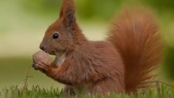 UN PETIT TEXTE DE SAISON 