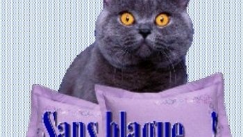 Il faut toujours assumer  ses actes,,, 