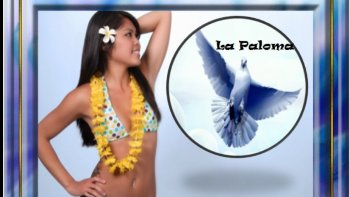 _ il est des musiques qui ne passent pas...
 Elles s'ancrent.
 Une chanson sans paroles qui pourtant dit tout. Elle glisse entre les images,
   caresse les voiles, enlace les amants, et laisse sur l'âme une trace salée &
  douce à la fois.
 Ce n'est pas une suite d'images: c'est une navigation intérieure.
