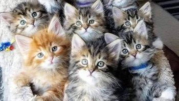 < l'amour infini> est une arme d'une puissance incomparable>