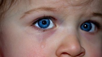 Nul besoin de paroles pour accompagner ma musique,
Ces images et ces photos suffiront 
Pour faire comprendre la tristesse,
Ces instants de souffrances,
Que parfois la vie nous réserve.
Je vous laisse écouter : « CHAGRIN » ( Adagio )