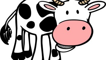 Ces vaches pensent comme vous et moi !
Sauf que moi, j'ai appris leur langue !
Voici  quelques moments de leur vie..
