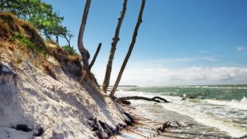 "Tout le monde vieillit, tout le monde est mortel "