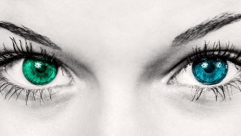 LA BEAUTÉ EST DANS LES YEUX DE CELUI QUI REGARDE
                                                                                  ( Oscar Wilde )