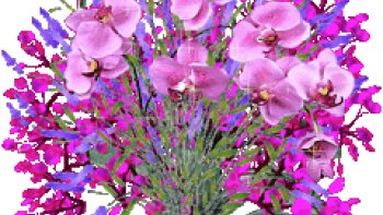 Ne les oublions pas.