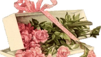 hommage à ma maman trop tôt disparue...