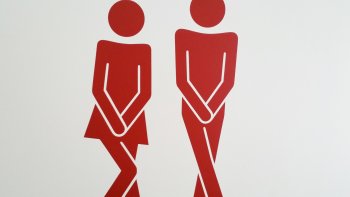 Des petites "  vannes  " , qui n'agissent pas sur la vessie, mais très sympas quand même.
Ça occupe pendant le confinement ...J'espère qu' elles vous amuseront. Bonne lecture ...