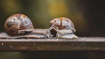 Une petite lecture matinale qui vous mettra de bonne humeur. Bonne journée !