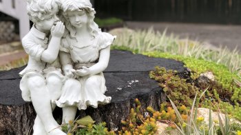 Je ne sais pas ce qu'il nous mijote,mais avant de critiquer, regardons !  
Avec lui, tout peut arriver ! Il a de ces idées ? Faut voir ?
Je vais vous faire écouter  du HANNIER  « SI TU SAVAIS »
Interprété par  Joël OLIVIER ( Clarinette d'Or )

